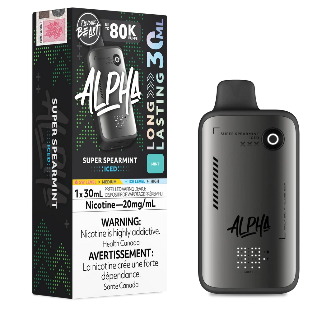 FLAVOURBEAST 80K
