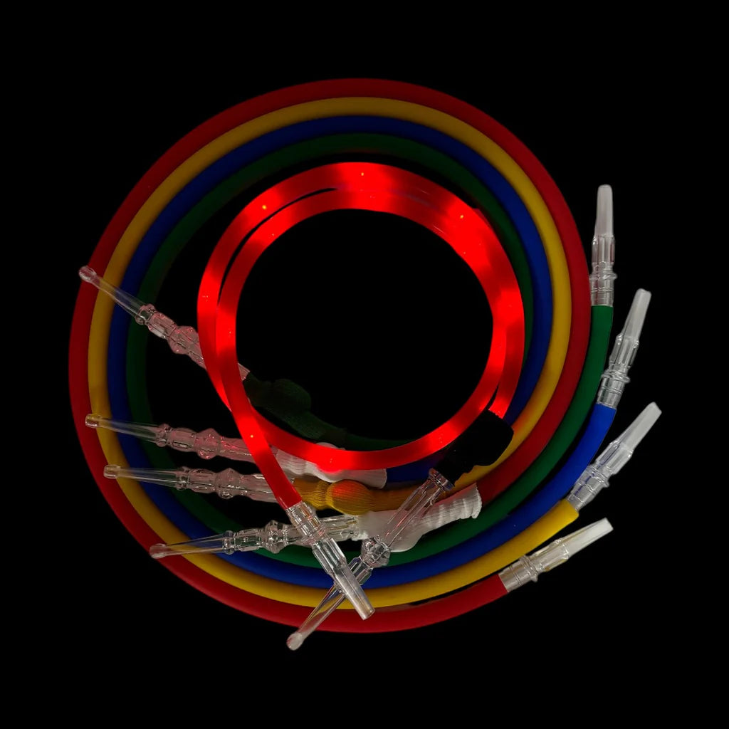 CHRISTMAS LED HOSE