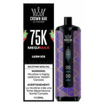 Load image into Gallery viewer, AL FAKHER MEGA MAX 75K